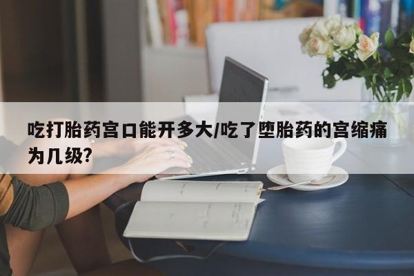 吃什么药可以流产堕胎、吃打胎药宫口能开多大/吃了堕胎药的宫缩痛为几级?