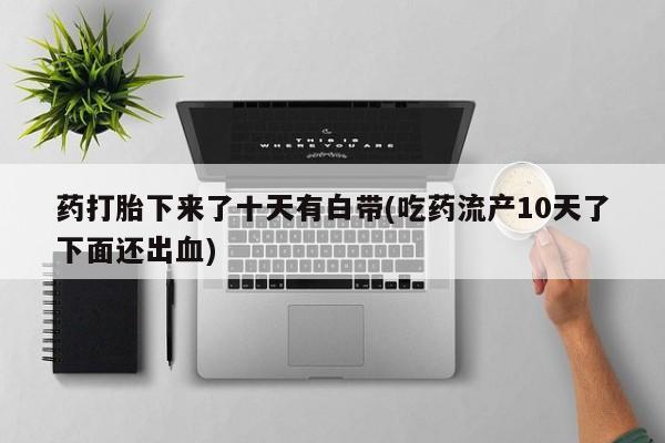 吃什么药可以流产堕胎、药打胎下来了十天有白带(吃药流产10天了下面还出血)