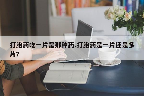 吃什么药可以流产堕胎、打胎药吃一片是那种药.打胎药是一片还是多片？