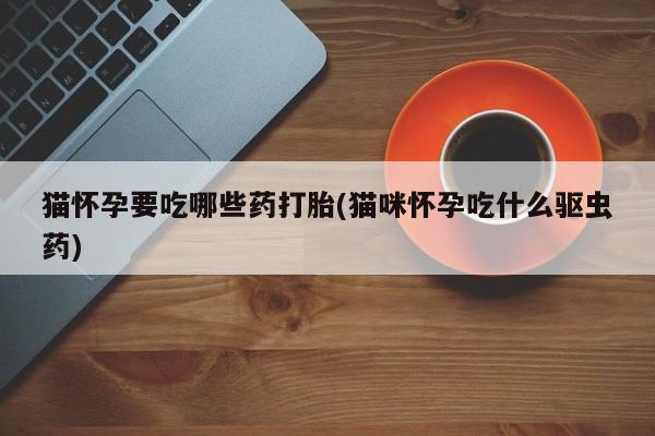 吃什么药可以流产堕胎、猫怀孕要吃哪些药打胎(猫咪怀孕吃什么驱虫药)