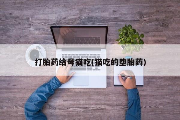 吃什么药可以流产堕胎、打胎药给母猫吃(猫吃的堕胎药)
