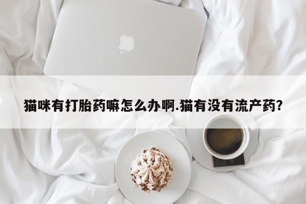 吃什么药可以流产堕胎、猫咪有打胎药嘛怎么办啊.猫有没有流产药？