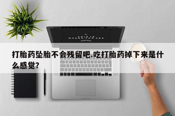 吃什么药可以流产堕胎、打胎药坠胎不会残留吧.吃打胎药掉下来是什么感觉？