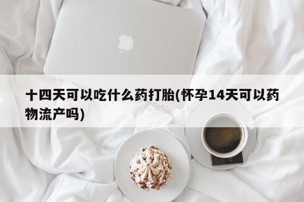 吃什么药可以流产堕胎、十四天可以吃什么药打胎(怀孕14天可以药物流产吗)