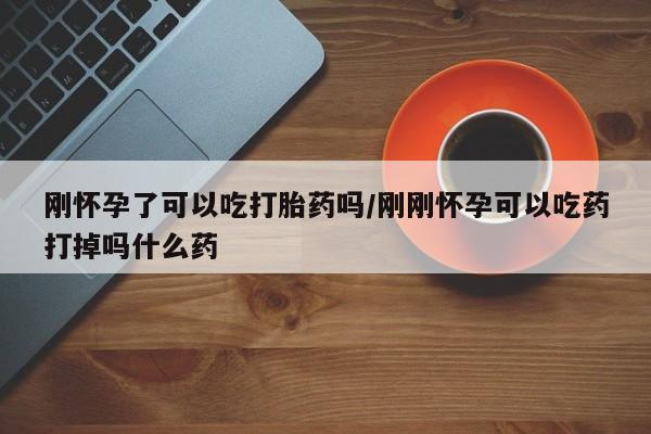 吃什么药可以流产堕胎、刚怀孕了可以吃打胎药吗/刚刚怀孕可以吃药打掉吗什么药